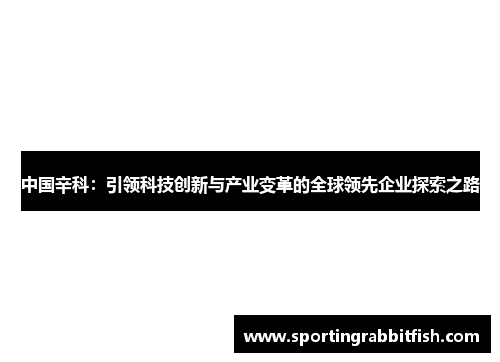 中国辛科：引领科技创新与产业变革的全球领先企业探索之路