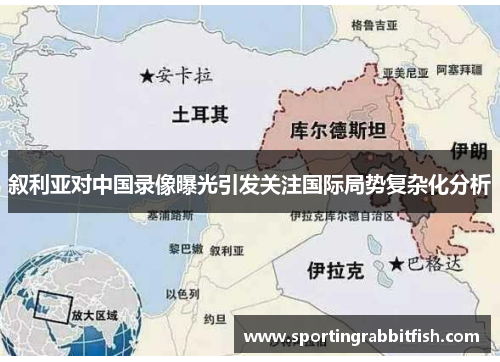 叙利亚对中国录像曝光引发关注国际局势复杂化分析