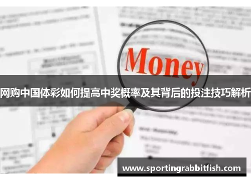 网购中国体彩如何提高中奖概率及其背后的投注技巧解析